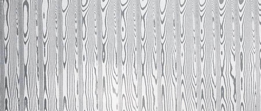 Etched DSC Inox in the Band pattern